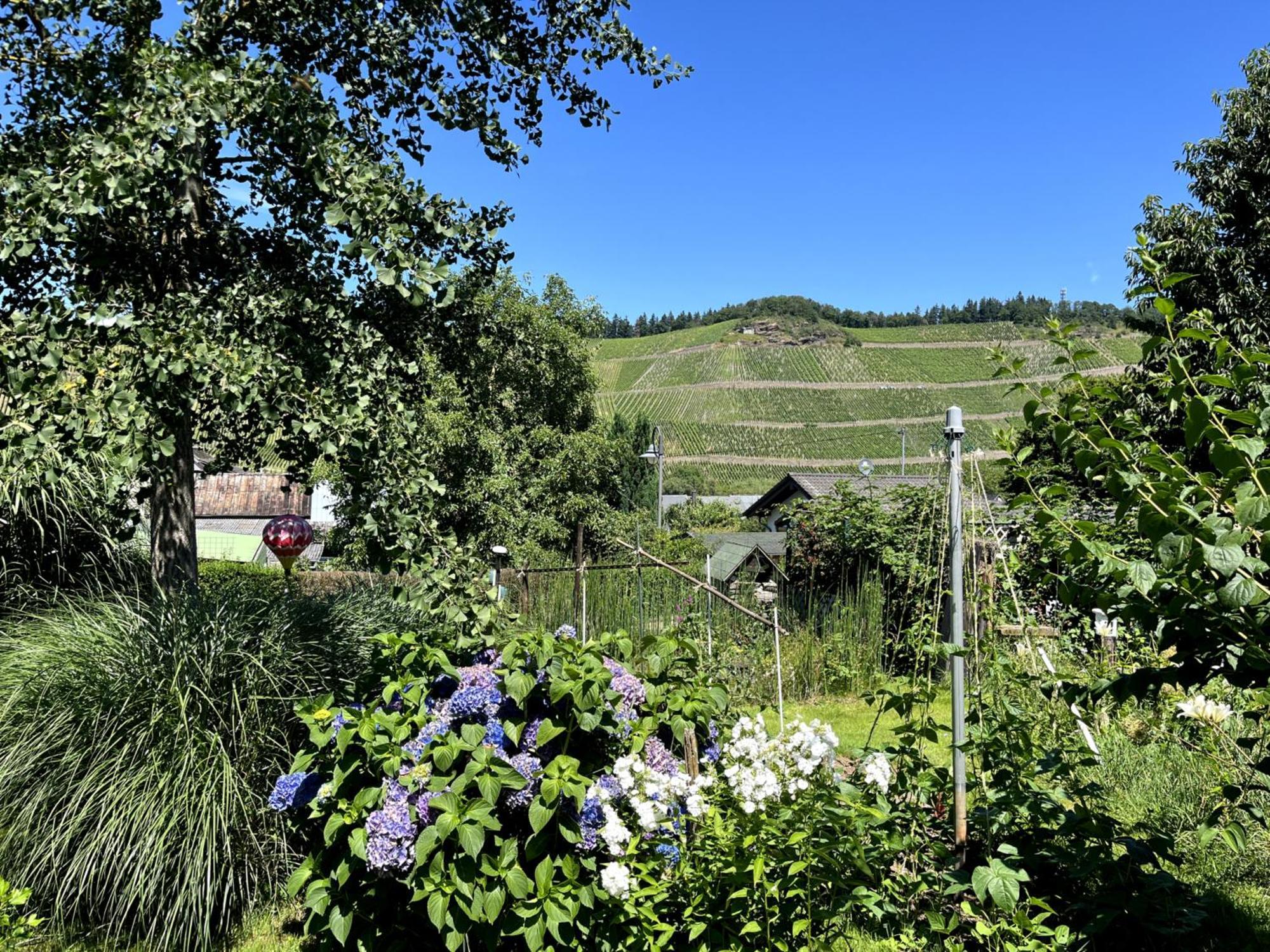 Landhaus Martina Brauneberg Exterior foto